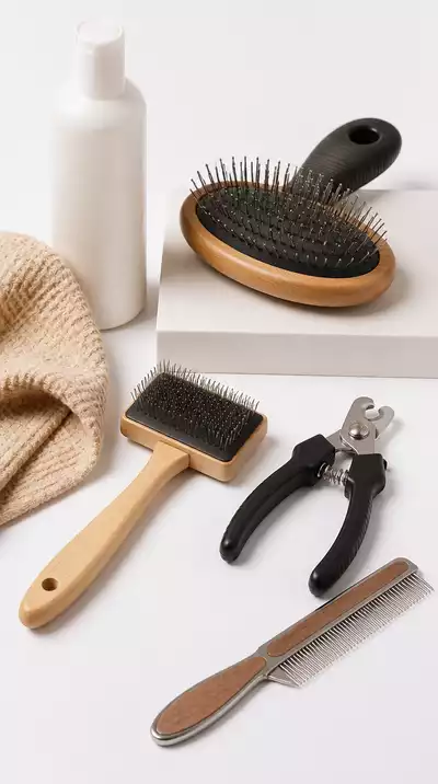 Grooming tools neatly organized on a clean surface